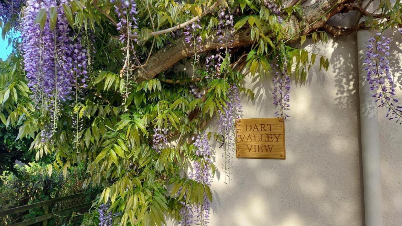 Dart Valley View Staverton  Buitenkant foto